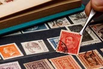 philatelist holds the postage stamp