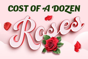 Cost of a dozen roses thumbnail