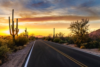 Arizona Desert Sunset Road