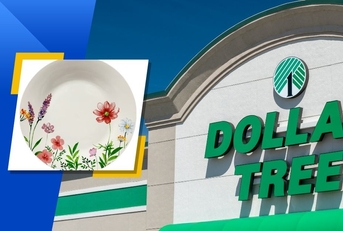 things you&#x27;d never believe are from dollar tree front slide