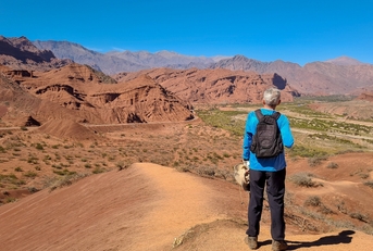 man with his back observing a desert valley