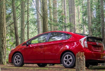 red prius in forest