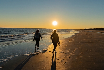 Beach walkers casting long shadows