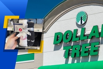 dollar tree store exterior and featured itemm
