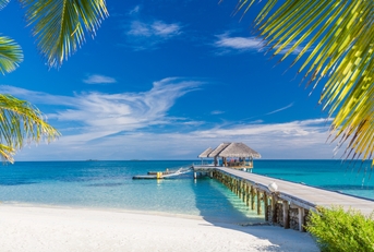  tropical beach