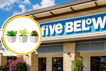 A Five Below featured image