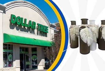 dollar tree store exterior and featured item