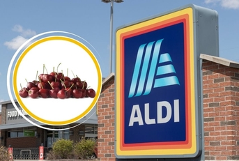 aldi items