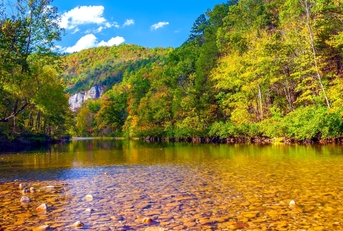 Arkansas river surrounded by trees