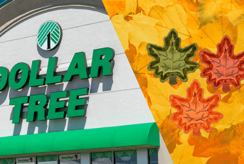 A Dollar Tree storefront