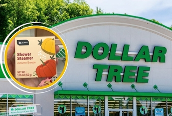 new month arrivals at dollar tree