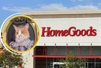 HomeGoods store with cat wall decor