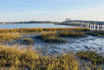 South Carolina landscape showing bridge with camper driving on it and marshy coast