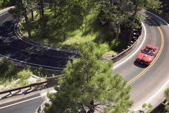 Road in Black Hills South Dakota