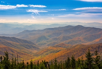 Tennessee landscape featuring view of the Smoky Mountains with pine trees in foreground