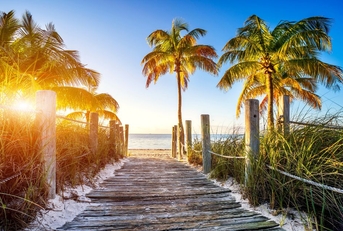 sunny florida beach boardwalk