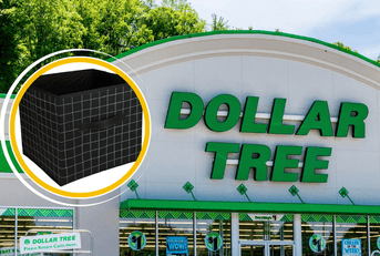 A Dollar Tree storefront