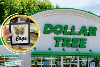Dollar Tree storefront and product collage