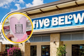 15 New Thrifty Five Below Items Hitting Shelves in January Featured Image
