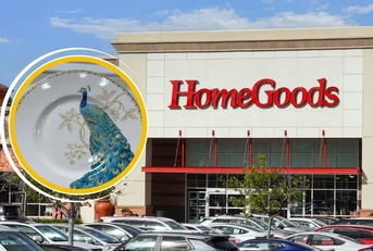 HomeGoods exterior with peacock plate