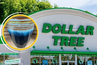 12 Random Dollar Tree Finds Over $1.25 That Are Worth It (And What to Skip) Featured Image