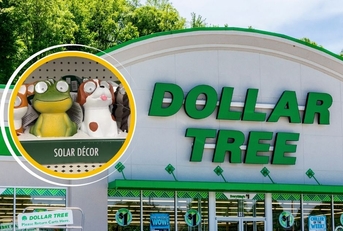 14 New February Dollar Tree Home Items Worth Combing the Aisles For 