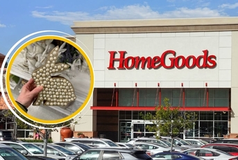 HomeGoods storefront and pearl bunny