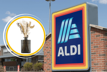 Original image of Aldi store logo and flower diffuser vase product 