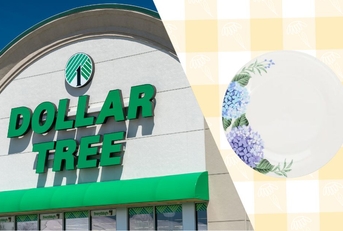 Dollar Tree storefront and dinner plate