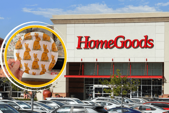 HomeGoods storefront and bunny plate product collage