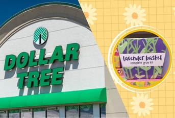 16 New March Arrivals at Dollar Tree That Are Likely To Sell Out