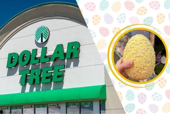 New March Dollar Tree Home Items Worth Combing the Aisles For