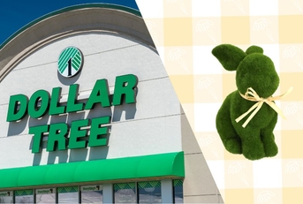 Dollar Tree storefront with bunny figurine