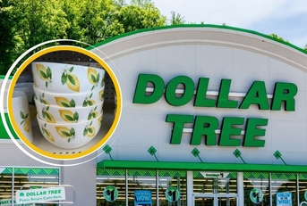 Dollar Tree storefront with lemon design bowls
