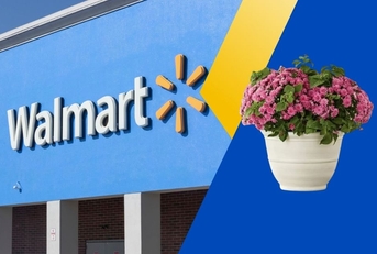 Under $15 Walmart Deals to Grab This April 