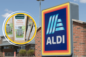 Collage of Aldi storefront and a walk-in greenhouse product