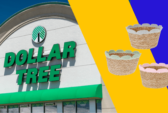 Dollar Tree storefront and basket products 