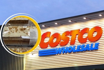 Costco Template with Kirkland Signature Carrot Bar Cake