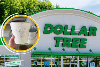 Collage of Dollar Tree and a white garden planter product