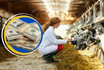 Female veterinarian with stack of money collage