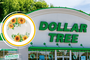 Collage of Dollar Tree store and a sunflower plate product