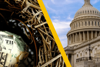 nest egg and capitol building
