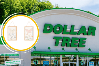 Collage of Dollar Tree storefront and a butterfly frame wall decor product