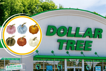 Collage of Dollar Tree and Pumpkin velvet decor product