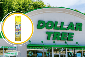 12 Best Dollar Tree Cleaning Buys if Your Family’s on a Tight Budget.png