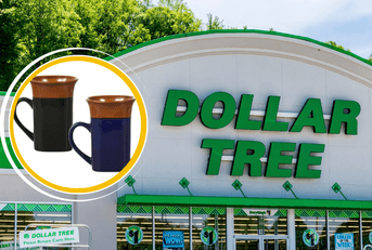 Rim stoneware mugs at Dollar Tree