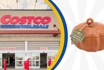 Costco storefront next to velvet pumpkin