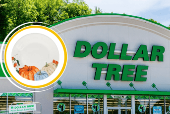 Dollar Tree Store with fall plate 