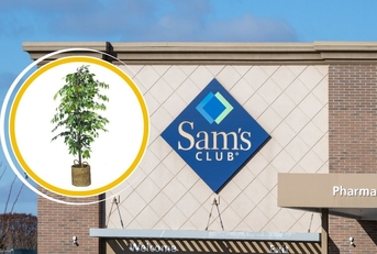 X Sam's Club Items That Look Like West Elm (For Less)