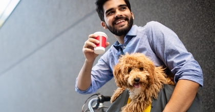 Best Business Credit Cards for Side Hustles